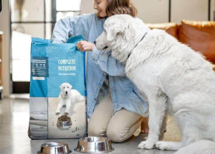 Woman feeds a dog with dry food at home